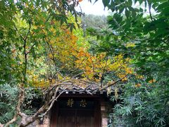 -之江大学-旧址
