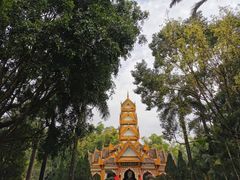 -云南勐巴娜西珍奇园