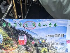 -朱雀国家森林公园