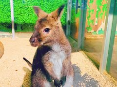 -常州海昌海洋探索馆