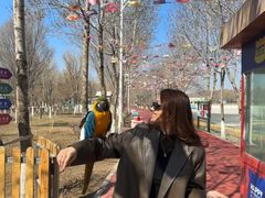 -水上乐园·欢乐世界