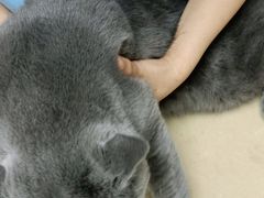 -宠颐生宠物医院外科·内科·皮肤科·影像科(石龙店)