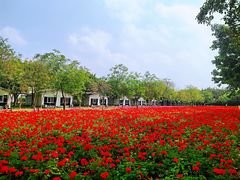 -广东花都香草世界旅游度假区