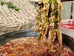 -扎起市井老火锅(乐山总店)