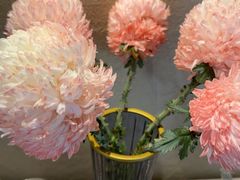 -川匠·睡眠采耳·SPA(九眼桥店)