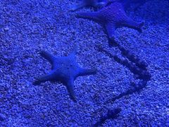 -波塞冬海底世界
