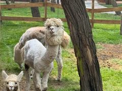 -南戴河国际娱乐中心