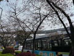 -上海南浦大桥长途旅游客运站