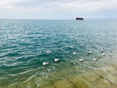 -青海湖国家重点风景名胜区