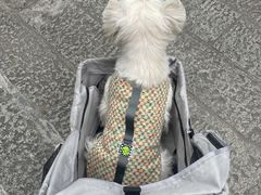 -南岳衡山风景名胜区-南岳大庙