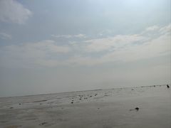 -红树林天天赶海