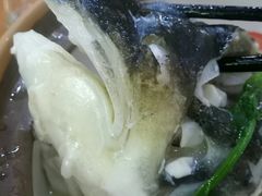-全乐鱼馆·淳牌有机鱼直营店