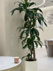 -爱你宝贝孕婴亲子摄影美学馆(绍兴店)