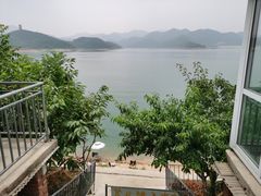 -望湖烤鱼