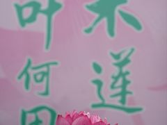 -钱王祠