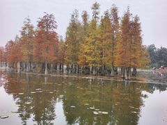 -白鹭湾湿地公园