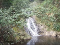 -东天目山风景区