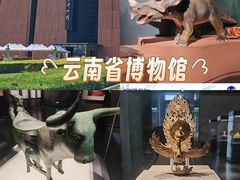 -云南省博物馆