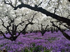 -江苏三台山国家森林公园