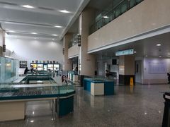 -武汉大学人民医院(首义院区)