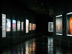 -罗红摄影艺术馆