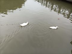 -海珠湖公园