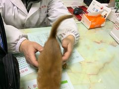 -百信宠物医院(东升街店)