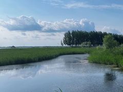 -黑龙江扎龙生态旅游区