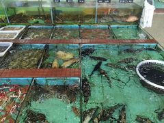 -景好海鲜餐厅(大鹏必选旅游店)