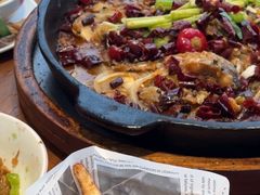 -老板恋上鱼(恒隆广场店)