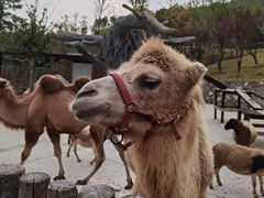 -南京金牛湖风景区