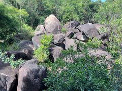 -广州白江湖森林公园