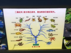 -上海昆虫博物馆