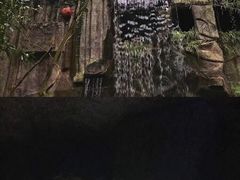 -青青世界