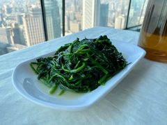-云中小雅