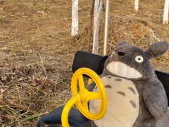 -天津东丽湖风景区