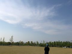 -上海长兴岛郊野公园