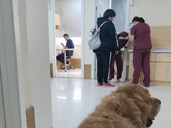 -美联众合动物医院·24h京西诊疗中心