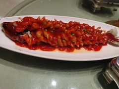 -刘胖子家常菜·蹄花焖藕(中央花园店)