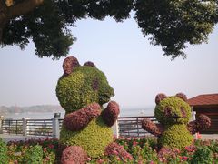 -放鹰台遗址