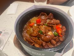 葛粉肥肠-青叶202都市餐厅(迪诺水镇店)