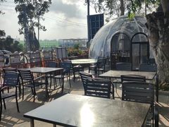 -岛中岛·海鲜大排档·万宁老字号(东澳店)