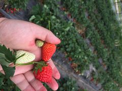 多利农庄有机体验馆-上海多利农业发展有限公司