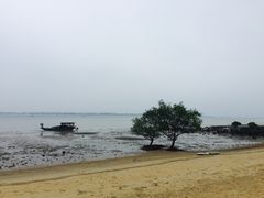-霞山观海长廊