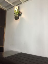 -C+剪咖形象设计