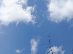 -上海宝龙美术馆