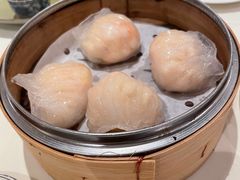 -金燕岛潮州酒楼