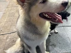 -瑞哦冷锅串串(汇融店)