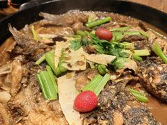 -老板恋上鱼(环山路店)