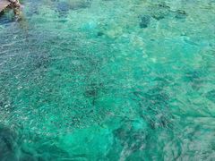 -东姑阿都拉曼海洋公园